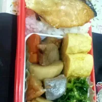 Snapdishの料理写真:鮭弁当|あちゃこさん