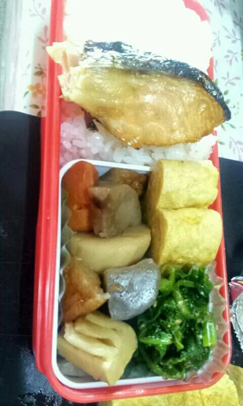 鮭弁当|あちゃこさん