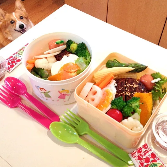 Snapdishの料理写真:野菜どっさりロコモコ弁当|＊さくら＊さん