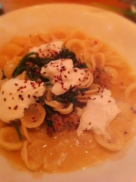 Snapdishの料理写真:Orecchiette with mozzarella and sausage in a lemongrass sauce.|Funky Chefさん