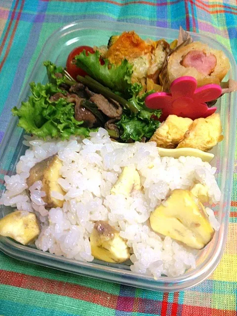 Snapdishの料理写真:☆栗ご飯弁当☆|ムンさん