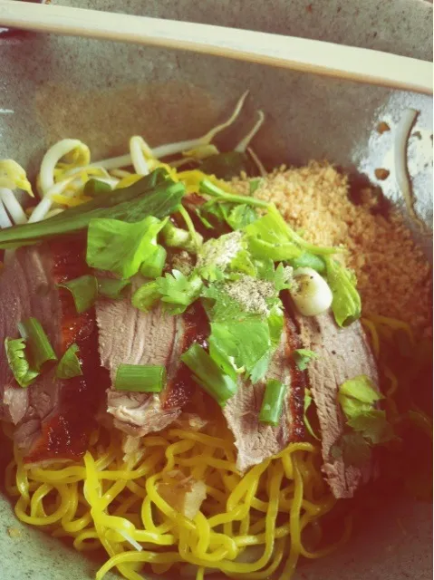 Roast duck with Wheat noodles|YOLOさん