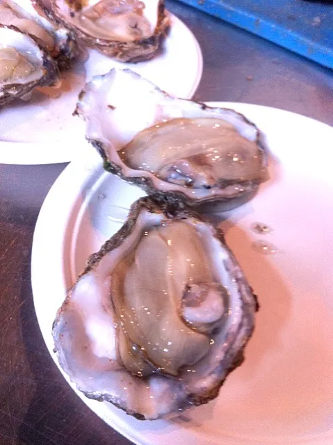 Snapdishの料理写真:english rock oysters|willzさん