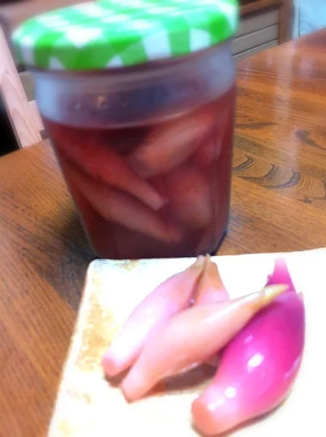 ミョウガの甘酢漬け作りました。食べる時は切った方が良かったな。かじったら甘酢が飛び出したよ。|akkioさん