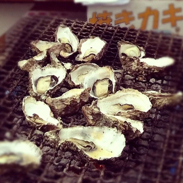 Oyster lover|miaさん