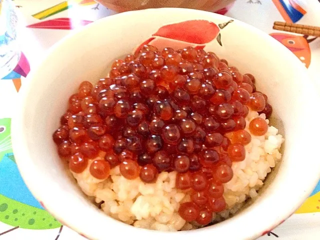 いくらゴハン|ngmさん