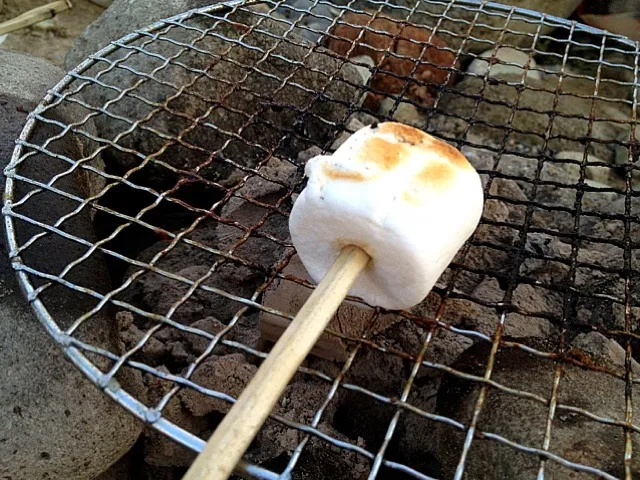 焼きマシュマロ|てるをさん