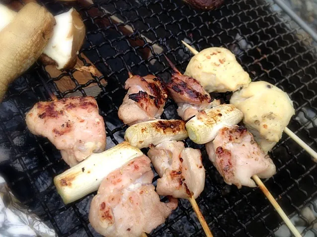 BBQの焼き鳥|たまこっこさん