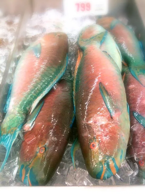 ハワイの魚 どーやって料理するんだ～？色が怖い～|happymamaさん