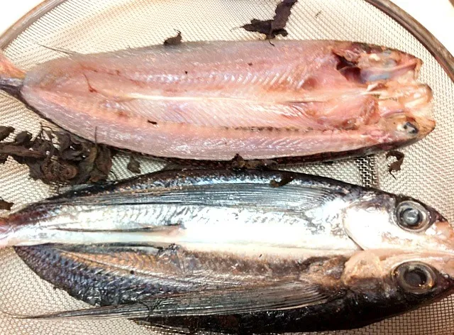 天草産飛び魚塩して干しました🙆|akikoさん