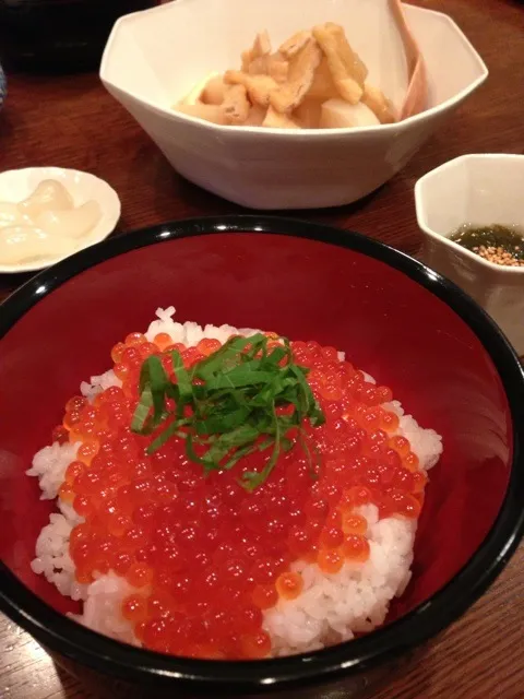 いくら丼|Taka Suzukiさん