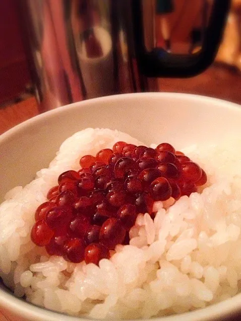 お夜食  親父が漬けたイクラ丼|knさん