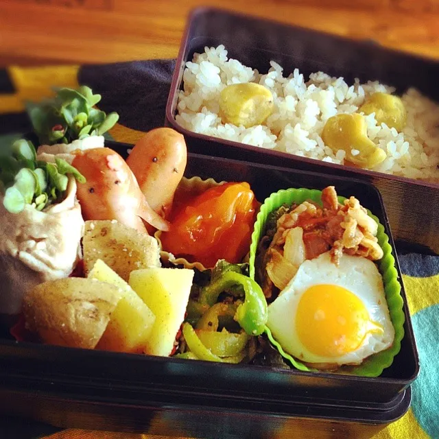 Snapdishの料理写真:栗ごはん弁当|maiさん