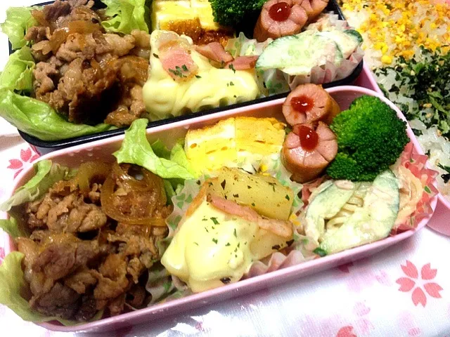 Snapdishの料理写真:豚の生姜焼き弁当|めぐさん