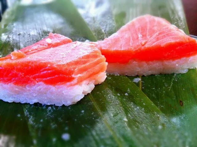 お土産で富山の鱒寿司をいただきました。肉厚で幸せ～(*´∀｀*)|ペネロペさん