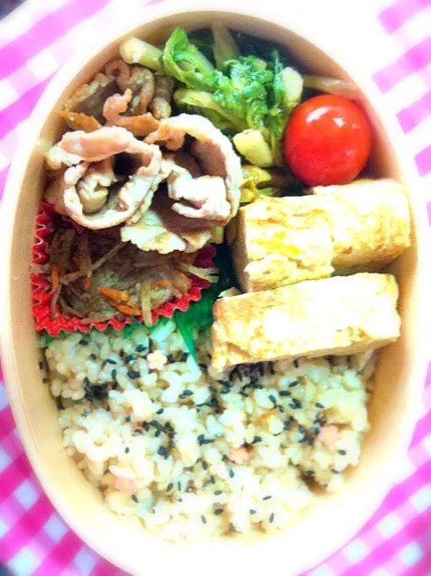 今日のお弁当|長嶋いずみさん