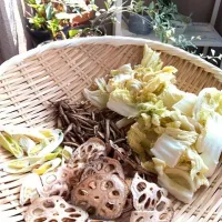 Snapdishの料理写真:干し野菜|kikomamさん