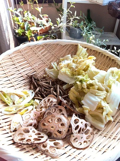 Snapdishの料理写真:干し野菜|kikomamさん