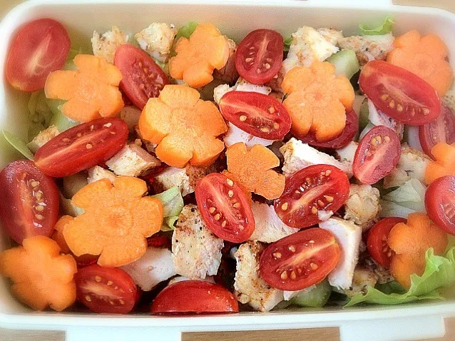 Today's Lunchbox: Simple Salad from Lettuce, Sweeeet Tomatoes, Carrots, Celery and Leftover Chicken|6畳フィットネスさん