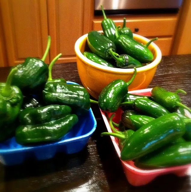 Chiles from my garden|Holly Doranさん