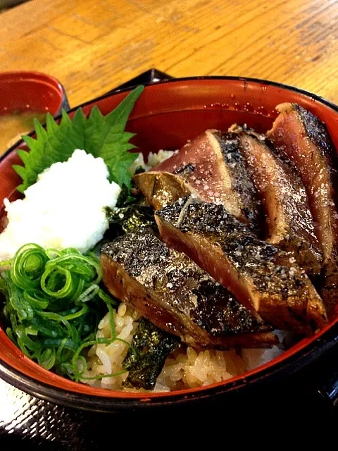 高知  カツオの塩たたき丼|みなさん