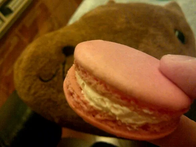 カピバラさんeating my lgb macaron T__T|karenyuenさん