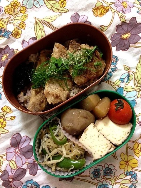 今日のおべんと。豚の味噌焼き、ピーマンともやしとじゃこの炒め物、大根と里芋と厚揚げの煮物、わさびこんぶ。|nozomi tsujiさん