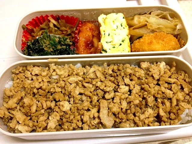 Snapdishの料理写真:お弁当10/11|tanenaoさん