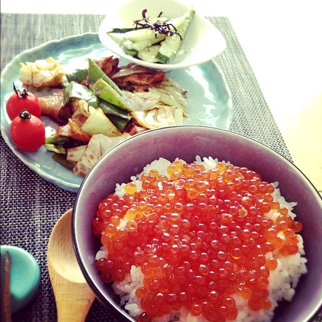 Snapdishの料理写真:いくら丼と回鍋肉とキュウリの塩昆布あえ|あさこさん