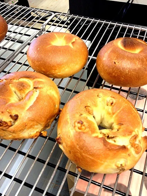 ベーグル(プレーン・胡桃)|のんさん