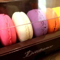 Macaroons|Victoria Pangさん