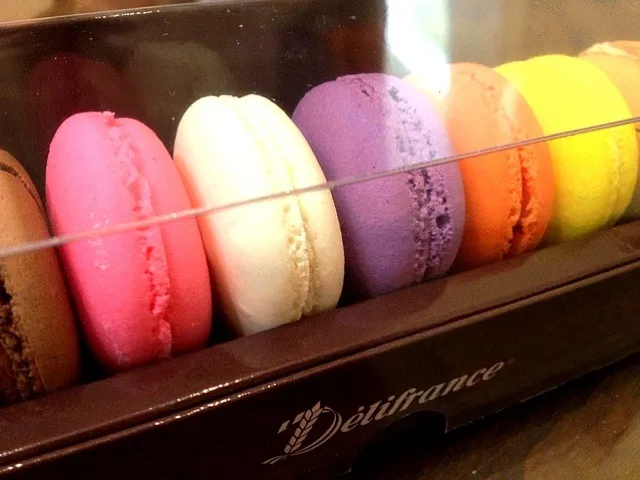 Macaroons|Victoria Pangさん