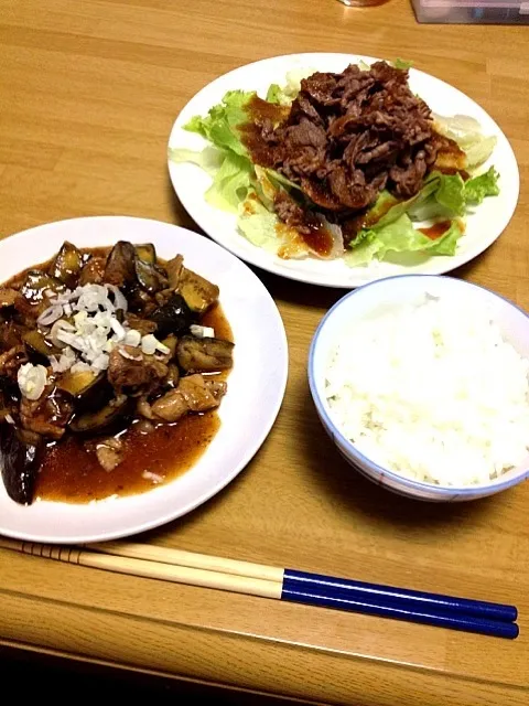 麻婆茄子.肉サラダ|あやのさん