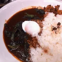 Snapdishの料理写真:温玉ほうれん草カレー|やまなさん