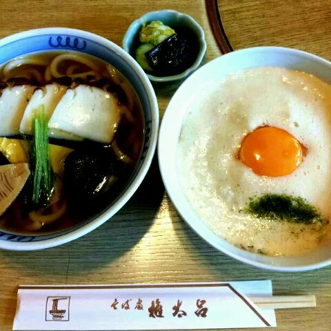 志っぽくうどん&月見とろろ丼|なーさんさん