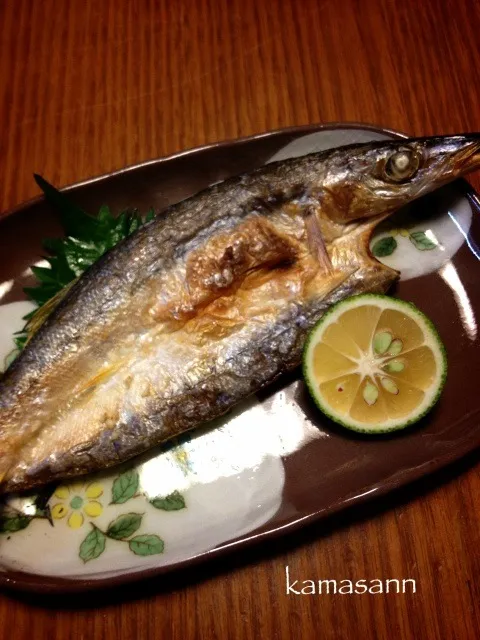 Snapdishの料理写真:カマスの開き🐟|かまさん