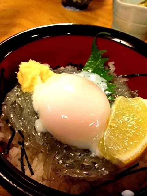 生しらす丼|かおちゃんさん