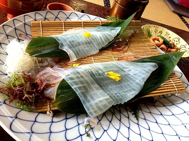 海辺の料理旅館はつしろ               イカ活造り|zcさん