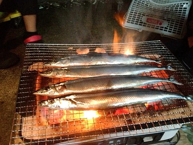 秋刀魚の炭火焼き|植竹将太さん