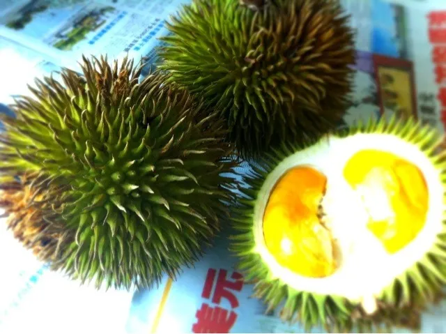 Sarawak durian|Ivis Chinさん