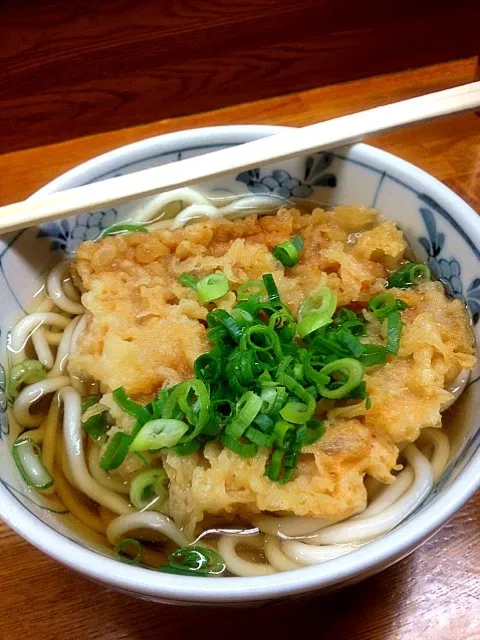 天ぷらうどん|はにほへさん