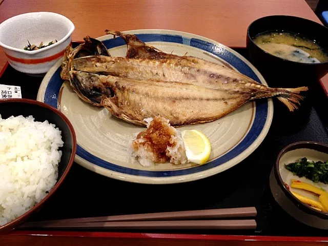 ひもの職人のトロあじ定食|キリくんさん