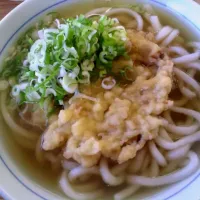 Snapdishの料理写真:ごぼう天うどん|reさん