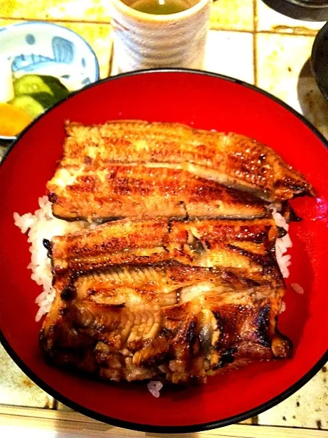 松琴楼の鰻丼|まいこさん