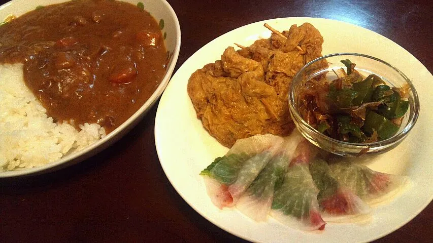 カレーとおつまみ(油揚げ餃子レシピあり)|ゆーこさん