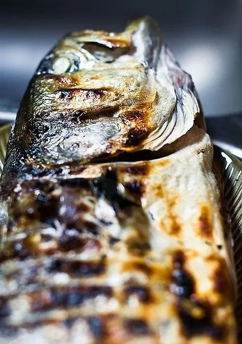 Grilled Blue Fish|MyRaXさん