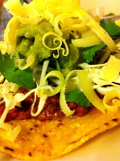 Tostadas|lalaさん