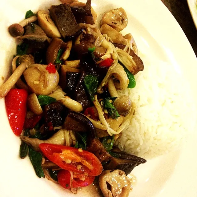 Spicy stir-fried mixed mushrooms&sweet basil w.rice|jirawanさん