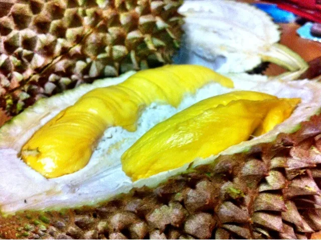 Snapdishの料理写真:Mountain Cat Durian|Yappilyさん