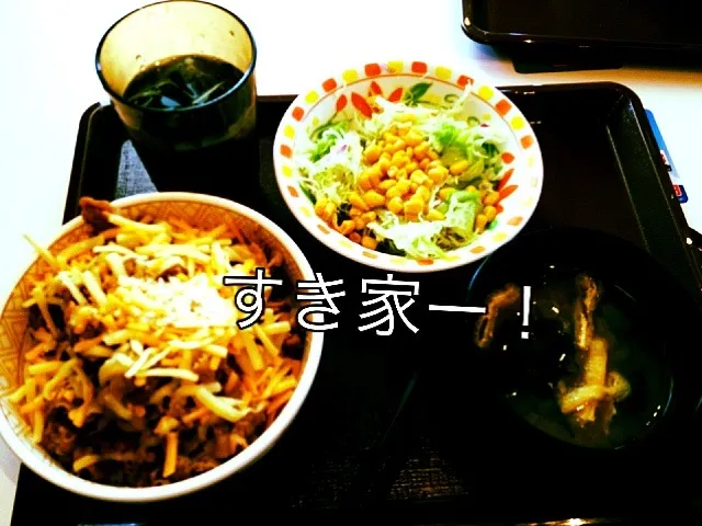 すき家で三種のチーズ牛丼セット|Mickiさん